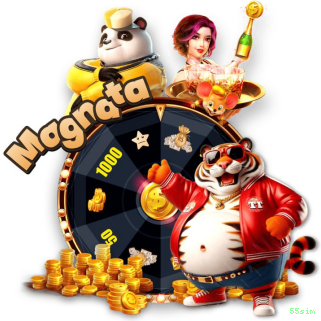 Programa VIP 55sim